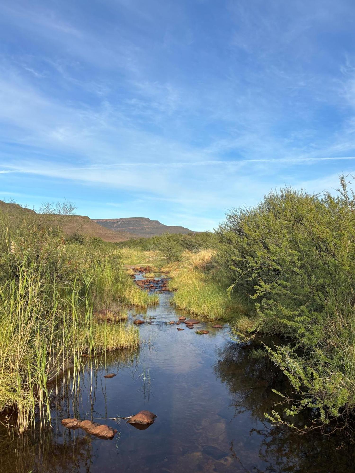 Enjo Nature Farm Clanwilliam Exterior foto